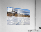 Downes - Oliverian Brook Ski Trail - White Mountains New Hampshire  Acrylic Print
