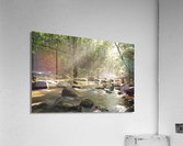 Cedar Brook - Pemigewasset Wilderness New Hampshire  Impression acrylique
