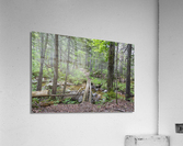 Nancy Pond Trail - Pemigewasset Wilderness New Hampshire   Acrylic Print