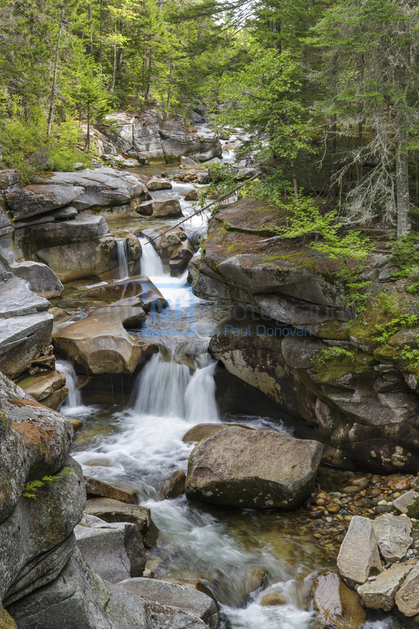 Middle Ammonoosuc Falls - Crawfords Purchase New Hampshire   Imprimer