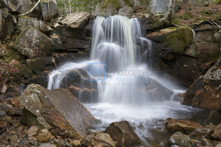 Whitehouse Brook - Lincoln New Hampshire  Print
