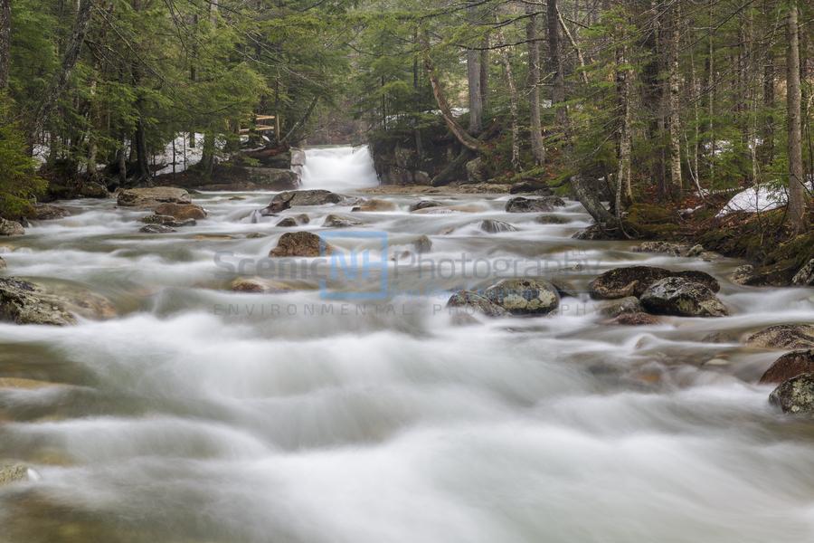 The Baby Flume - Franconia Notch State Park New Hampshire  Print