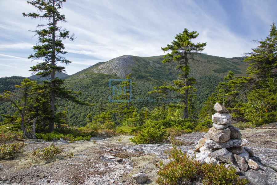 Bicknell Ridge Trail - White Mountains New Hampshire  Print