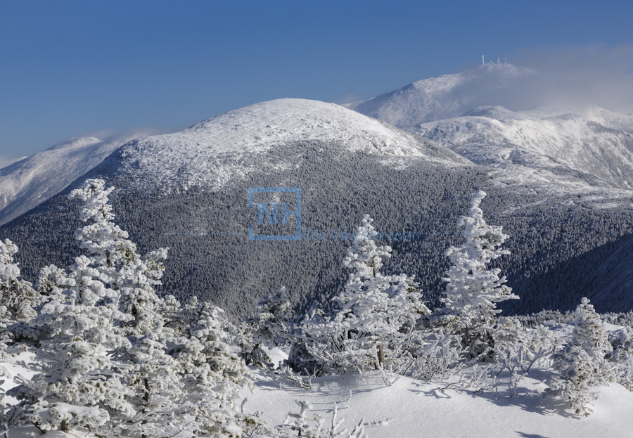 Mount Eisenhower - White Mountains New Hampshire  Print