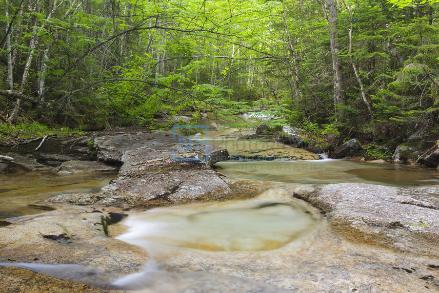 Crystal Brook - Pemigewasset Wilderness New Hampshire  Imprimer