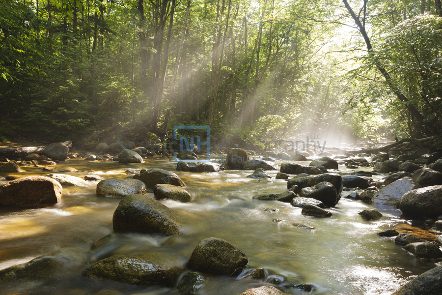 Cedar Brook - Pemigewasset Wilderness New Hampshire  Imprimer