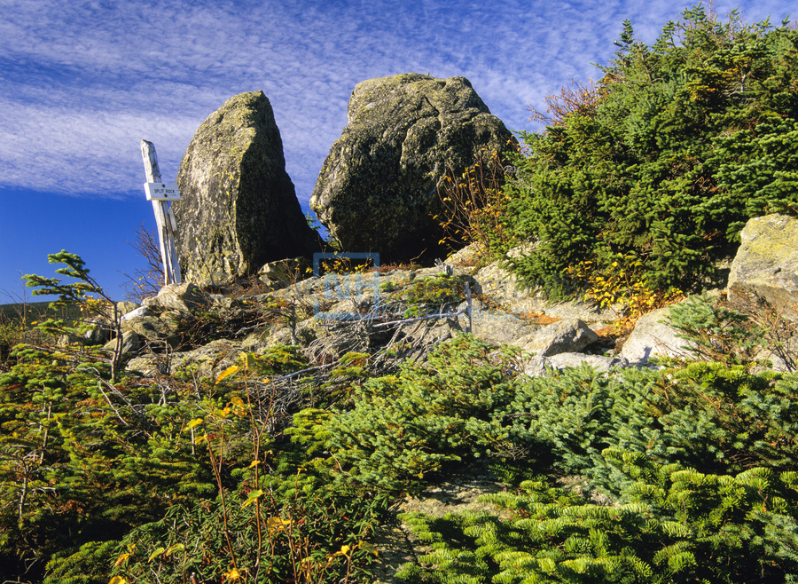 Boott Spur Trail - Mount Washington New Hampshire   Print