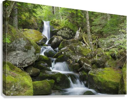 Cold Brook - Low and Burbanks Grant New Hampshire  Canvas Print