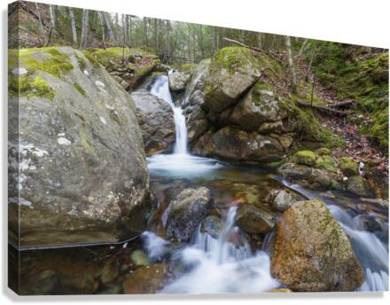 Flume Brook - Franconia Notch New Hampshire  Impression sur toile
