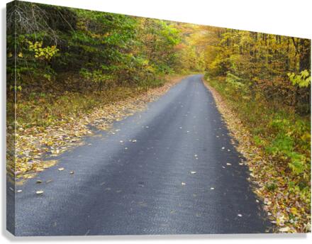 Tunnel Brook Road - Easton New Hampshire  Canvas Print