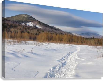Downes - Oliverian Brook Ski Trail - White Mountains New Hampshire  Impression sur toile