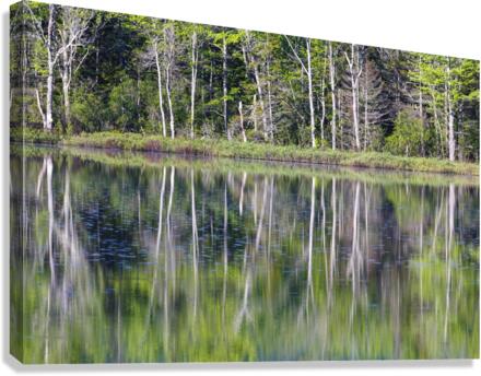 Elbow Pond - North Woodstock New Hampshire  Impression sur toile