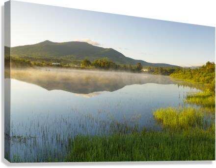 Airport Marsh - Whitefield New Hampshire  Canvas Print