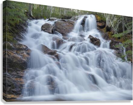 Birch Island Brook Falls - Lincoln New Hampshire  Impression sur toile
