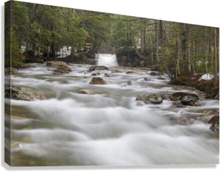 The Baby Flume - Franconia Notch State Park New Hampshire  Canvas Print