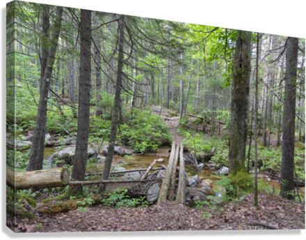 Nancy Pond Trail - Pemigewasset Wilderness New Hampshire   Canvas Print