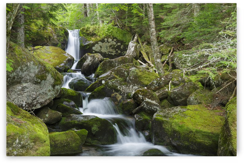 Cold Brook - Low and Burbanks Grant New Hampshire by ScenicNH Photography