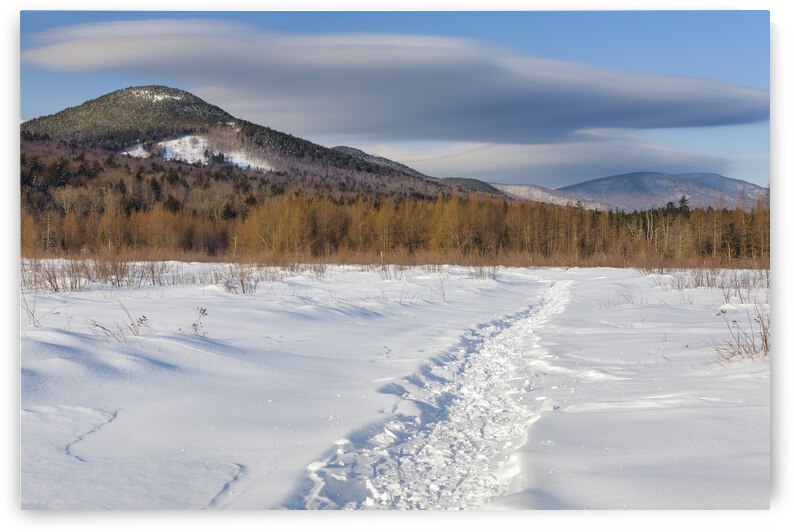 Downes - Oliverian Brook Ski Trail - White Mountains New Hampshire by ScenicNH Photography