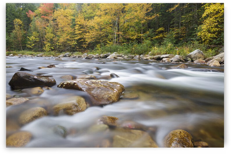 Ammonoosuc River - Carroll New Hampshire by ScenicNH Photography
