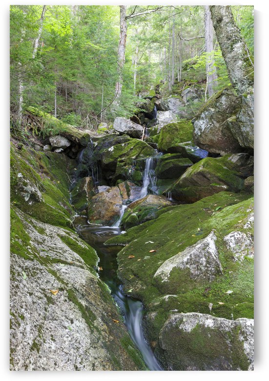 Elephant Head Brook - Carroll New Hampshire  by ScenicNH Photography