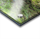 Mossy Glen - Randolph New Hampshire Impression Acrylique