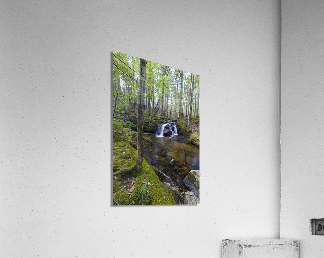 Crooked Brook - North Woodstock New Hampshire  Acrylic Print 