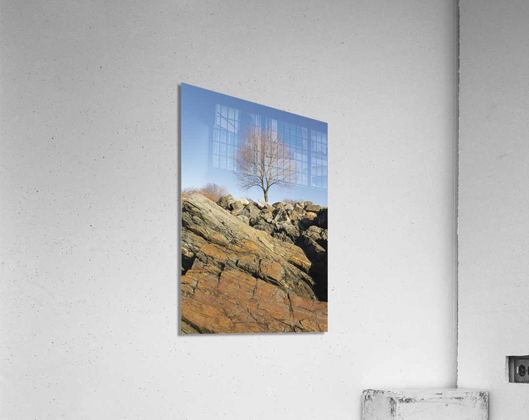 Great Island Common - New Castle New Hampshire Acrylic Print