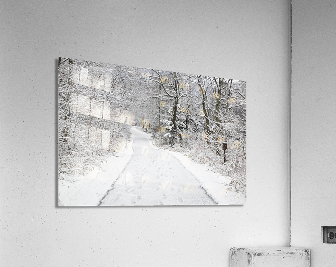 Franconia Bike Path - Franconia Notch New Hampshire Impression acrylique
