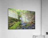 Mossy Glen - Randolph New Hampshire  Impression acrylique