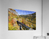 Willey Brook Trestle - Harts Location New Hampshire  Impression acrylique