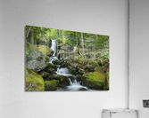 Cold Brook - Low and Burbanks Grant New Hampshire  Acrylic Print