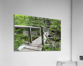 Randolph Path - Low and Burbanks Grant New Hampshire  Impression acrylique