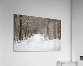 Lafayette Ski Trails - Franconia New Hampshire  Acrylic Print