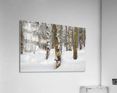 Mount Jim - Kinsman Notch New Hampshire  Acrylic Print