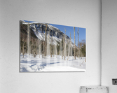 Pemi Trail - Franconia Notch White Mountains  Impression acrylique