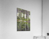 Kancamagus Highway - White Mountains New Hampshire  Acrylic Print