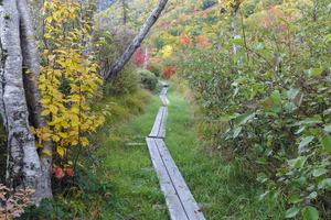 Echo Lake - Franconia Notch New Hampshire