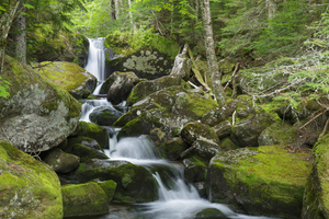 Cold Brook - Low and Burbanks Grant New Hampshire