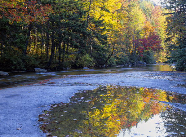 Swift River - White Mountains New Hampshire Print