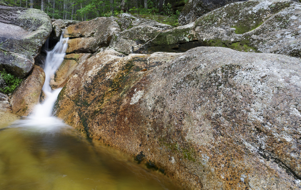 Mt Field Brook Cascades - Bethlehem New Hampshire  Print