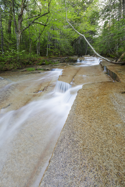 Walker Brook Cascades - Franconia Notch New Hampshire Print