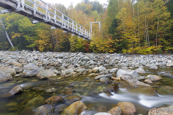 Great Gulf Trail - White Mountains New Hampshire Print