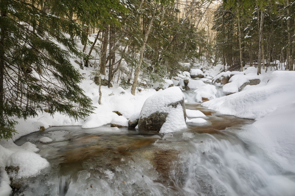 Flume Brook - Franconia Notch State Park New Hampshire Print