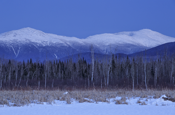 Pondicherry Wildlife Refuge - Jefferson New Hampshire  Print