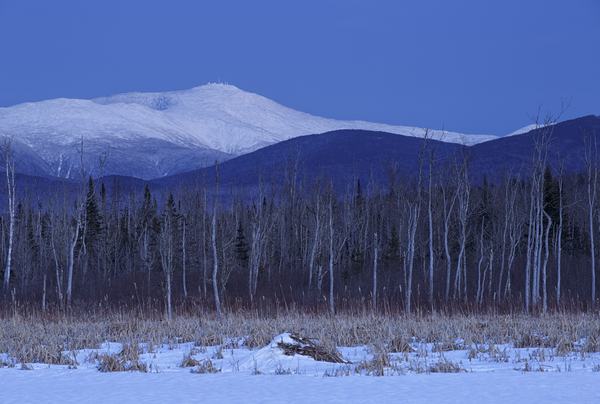 Mount Washington - Pondicherry Wildlife Refuge New Hampshire Print