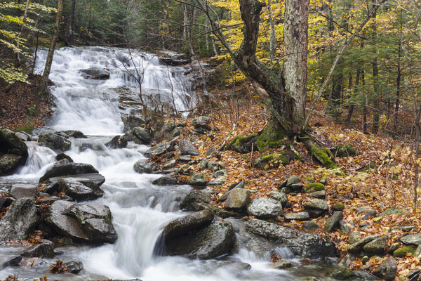 Stark Falls - North Woodstock New Hampshire Print