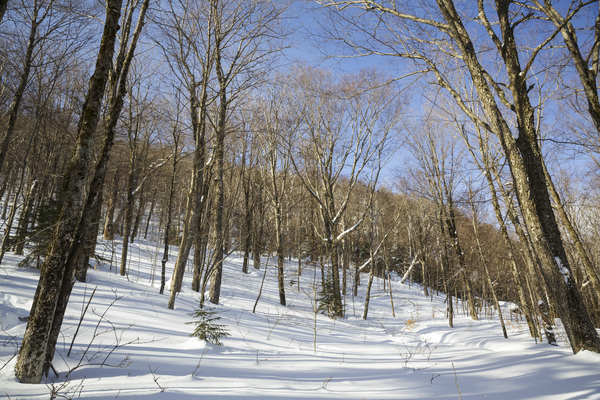 Kinsman Notch - North Woodstock New Hampshire  Imprimer