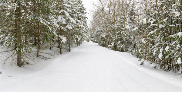 Franconia Bike Path - Franconia Notch New Hampshire Print