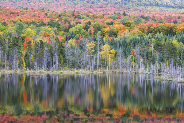 Old Cherry Mountain Road - Carroll New Hampshire  Print