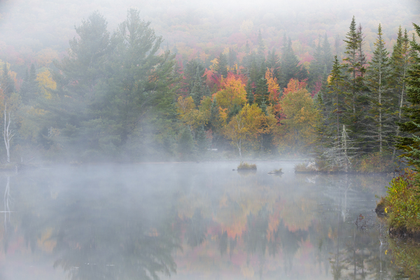 Wildlife Pond - Bethlehem New Hampshire Print